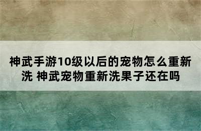 神武手游10级以后的宠物怎么重新洗 神武宠物重新洗果子还在吗